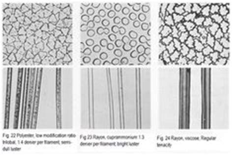 Microscopic view of the natural and man-made fibre Teaching Sewing ...