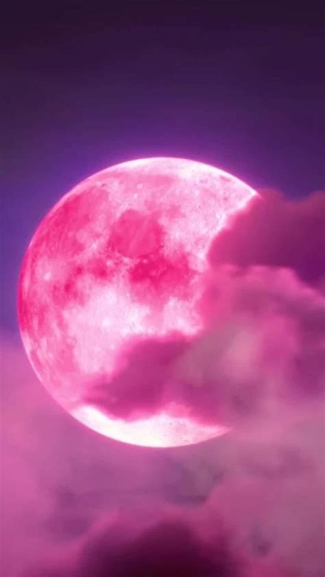 Download Enjoy The Beautiful View Of The Pink Moon Rising Over The