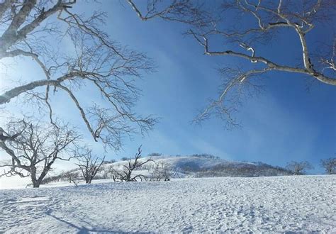 与浪漫的哈尔滨撞个满怀，冰与火之歌 异域风光 冰雕 滑雪 温泉 哈尔滨旅游攻略 游记 去哪儿攻略