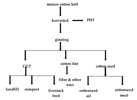 Flowchart Of Cotton Processing From Field To Cotton Gin Products Download Scientific Diagram