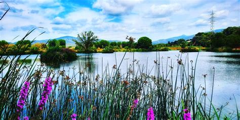 Article de la Vanguardia Un preciós llac artificial al Parc del Falgar