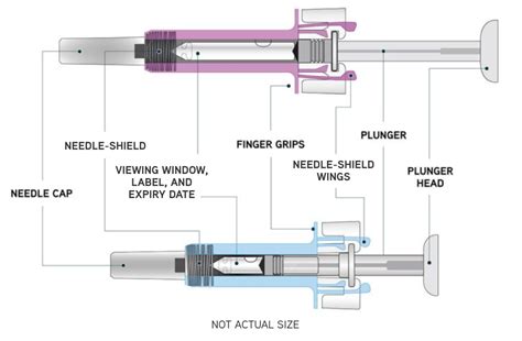 Dosing And Administration Prefilled Syringe Xolair Omalizumab