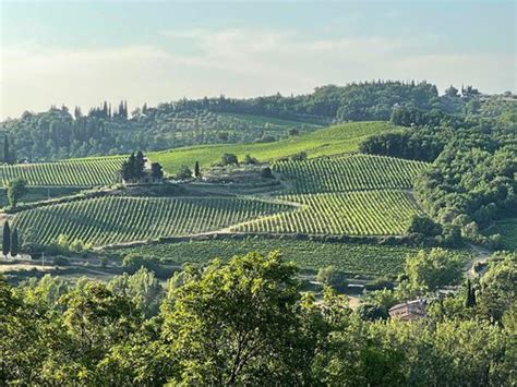 Jeremy Sutton Studios Art Holiday Tuscany Plein Air Sketching