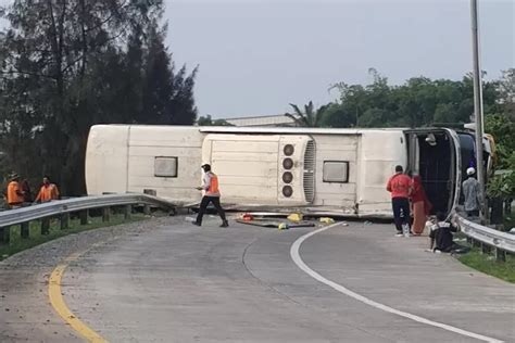 Update Identitas Korban Tewas Kecelakaan Bus Handoyo Di Tol Cipali