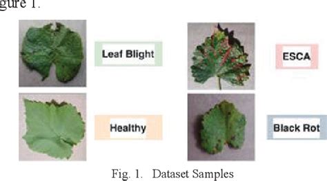 Figure 1 From Advanced Deep Learning Approaches Utilizing Vgg16 Vgg19 And Resnet