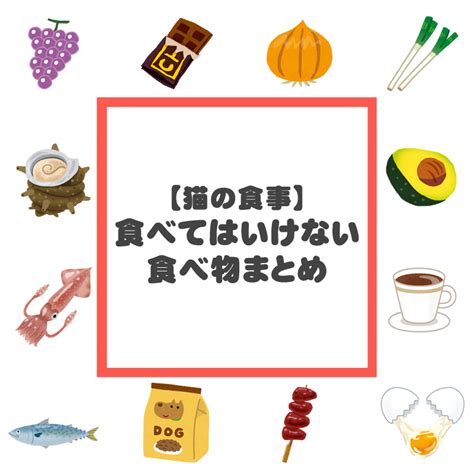 猫が食べてはいけない食べ物まとめ！危険・有害な理由も徹底解説