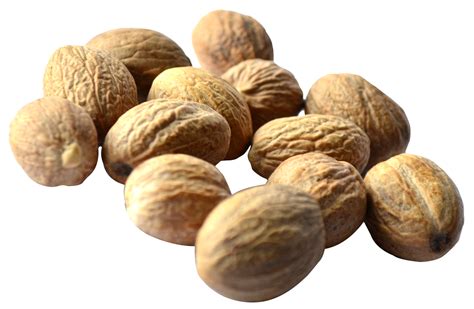 Walnut PNG