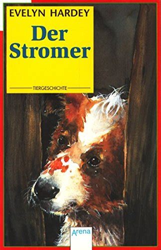 Der Stromer 9783401016900 Books