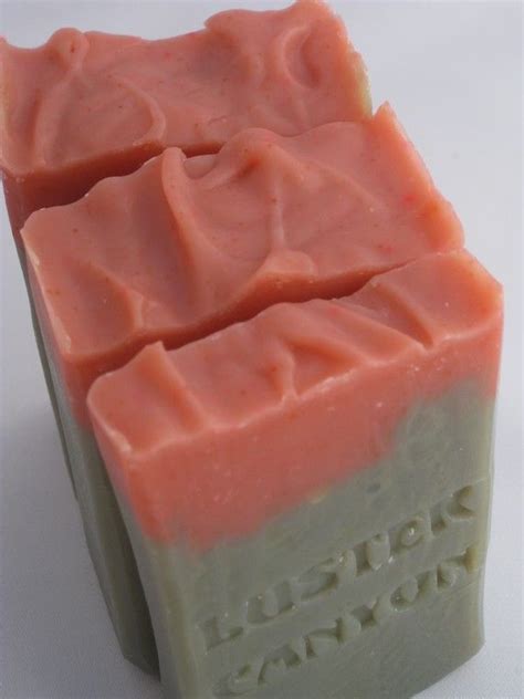 Beautiful Soaps By Lustercanyon On Etsy 5 Prickly Pear Yum Pear