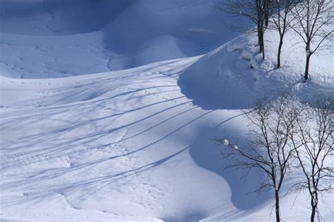 雪樹影（新潟県長岡市山古志） 越後長岡発／建築・風景写真