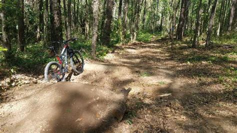 Kohls Trail Mountain Bike Trail In Tallahassee Florida Directions