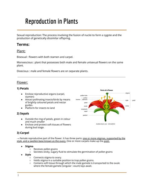 SOLUTION: Reproduction in flower - Studypool