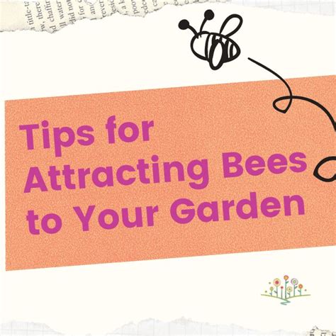 Tips For Attracting Bees To Your Garden Chippewa Valley Growerschippewa Valley Growers