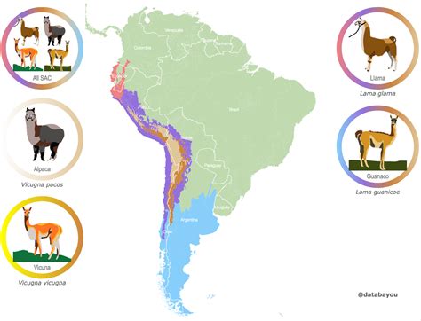 Llama and Vicuña Distribution map