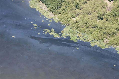 Óleo vaza na baía de Guanabara mais uma vez Mar Sem Fim