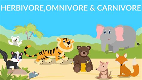 Herbivores Carnivores Omnivores Types Of Animals Youtube