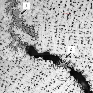 Sem Micrograph Showing The Unetched Microstructure Of The Fusion Zone