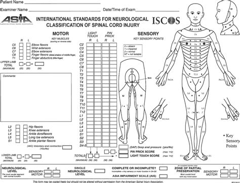 1 A Assessment Sheet American Spinal Injury Association Download Scientific Diagram