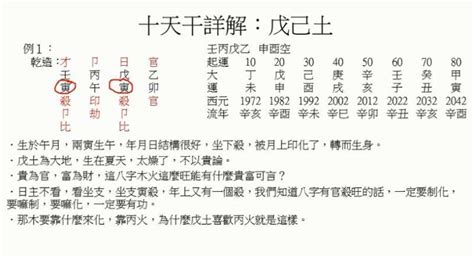 盲派八字教学视频——十天干详解戊己土教育兴趣学习好看视频