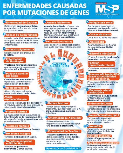 Enfermedades Causadas Por Mutaciones De Genes
