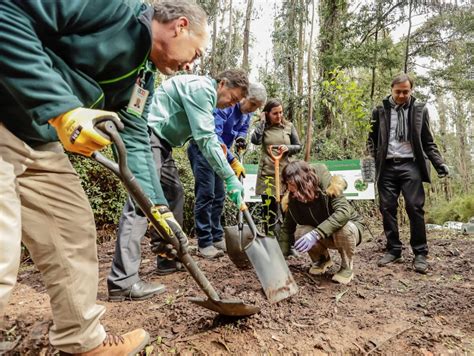 Campus Naturaleza El Inédito Proyecto De Conservación Y Restauración