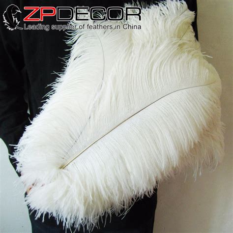 Plumas De Avestruz De Calidad Superior 50 Unids Lote De Color Blanco