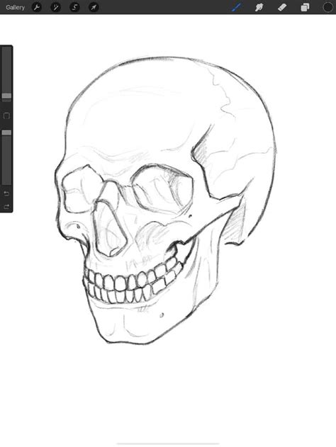 Easy Ways To Draw A Skull In Procreate Skull Drawing Sketches