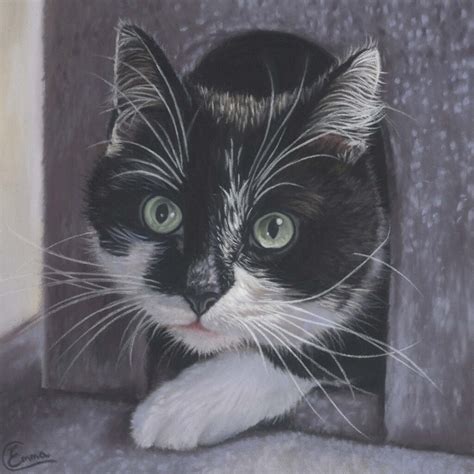 Black and White Cat - Emma Colbert - Artist and Illustrator from ...