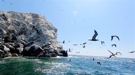 Guía Básica De Oaxaca Historia Turismo Clima Y Más Descubre México