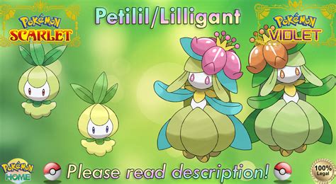 Lilligant Evolution Chart