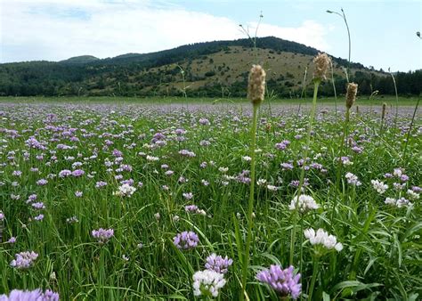 Pivka, Slovenia Vacation 2023: Best Places to Visit - Tripadvisor