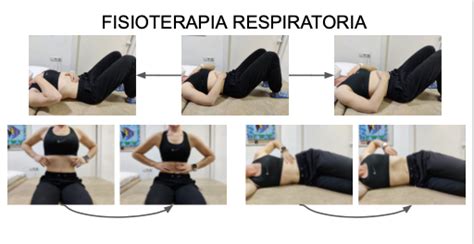 Fisioterapia Respiratoria Fisioterapia Especializada Francisco Lled