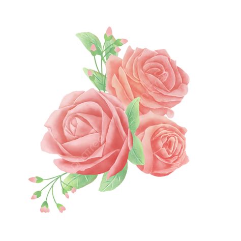 Red Rose Watercolor Png Picture Watercolor Red Big Rose Flower Plant