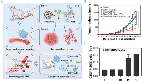 Anti Tumor Efficacy Of Nanopcm A Schematic Diagram Of Nanopcm