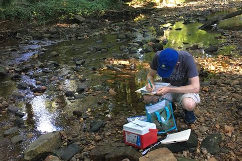 Report Concludes Area Streams Have A Serious Fecal Bacteria Problem