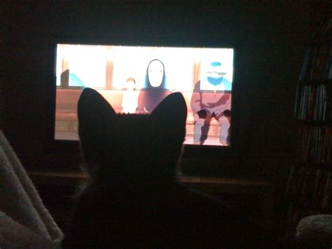 Spirited Away has gained a feline fan : r/anime