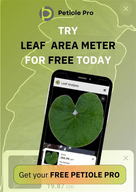 4 Proven Methods Of How To Measure Leaf Area