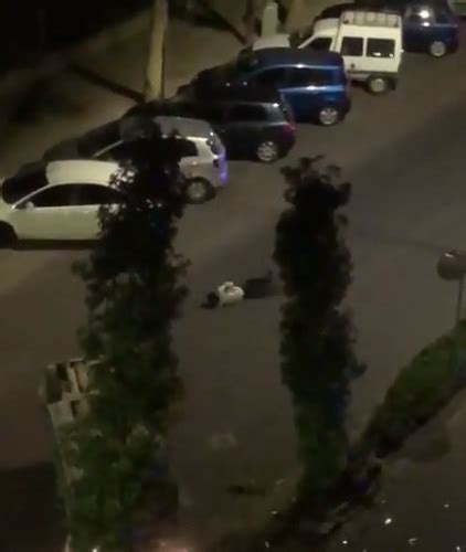 El Joven Que Tuvo Un Accidente Esta Madrugada Intent Huir De La