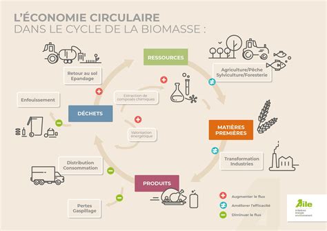 Bio Conomie Circulaire Informer Aile