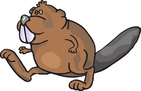 Download Beaver Walking Animal Royalty Free Vector Graphic Pixabay