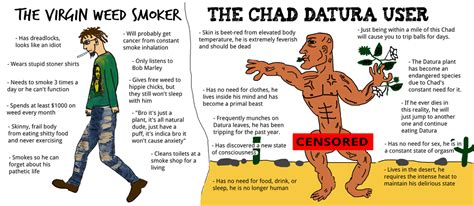 The Virgin Weed Smoker Vs The Chad Datura User [oc] R Virginvschad