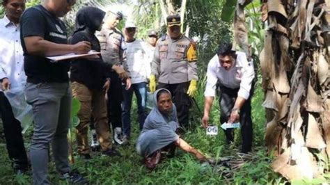 Pria Tewas Di Dekat Kandang Kambing Di Pasaman Barat Ternyata Dibunuh