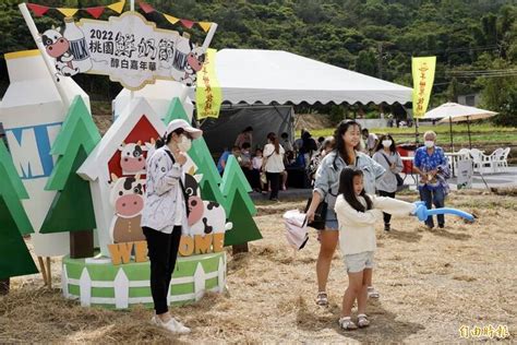 連假玩一波！桃園鮮奶節牧草圈超好拍 小牛、羊咩咩萌翻 生活 自由時報電子報