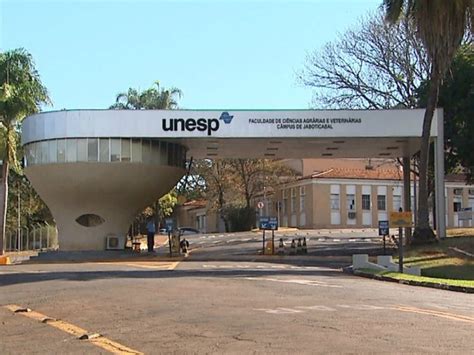 G1 Quadrilha Faz 11 Vigias Reféns E Assalta Banco Na Unesp Em