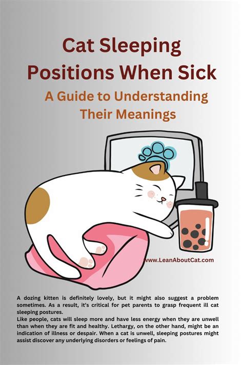 Cat Sleeping Positions When Sick: A Guide