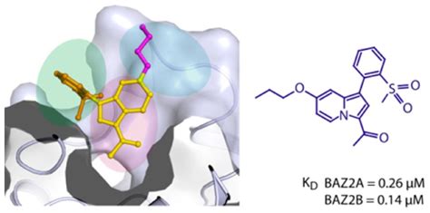 Discovery And Characterization Of Gsk2801 A Selective Chemical Probe For The Bromodomains Baz2a