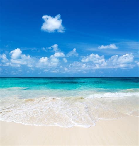 Premium Photo Beautiful Beach With White Sand Tropical Sea With