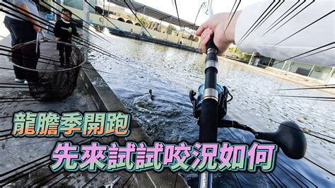 【台客去釣魚】龍膽季開跑！第一波咬況如何？隔壁小弟弟拉魚的姿勢也太猛了吧！ Feat農家村海釣場 Youtube