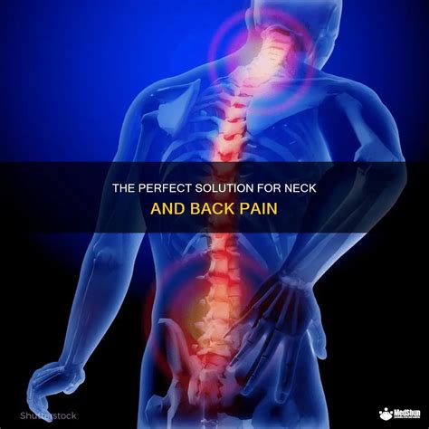 The Perfect Solution For Neck And Back Pain Medshun