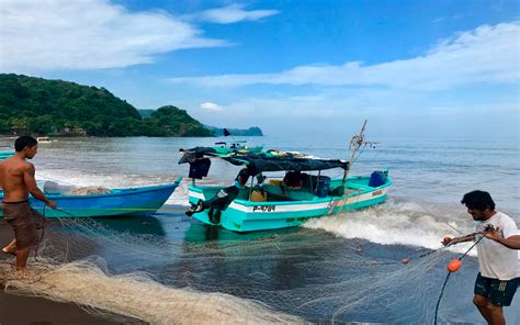 ¿conoce La Diferencia Entre La Pesca Artesanal Y Enpequeña Escala